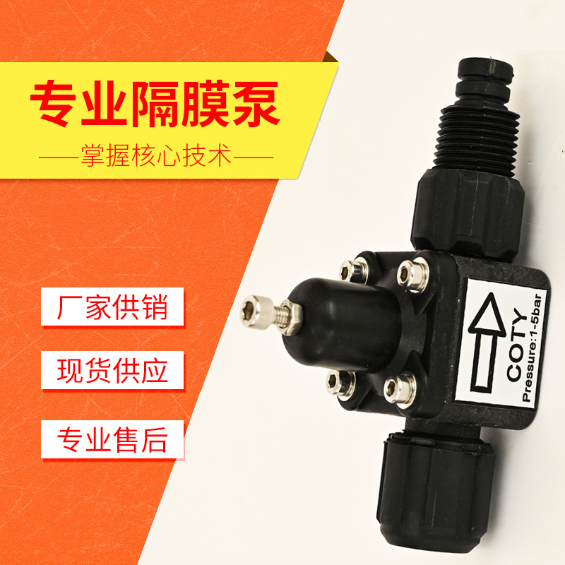 Da Changqing Electromagnetic Diaphragm Meter Pump Mechanical Diaphragm Meter Pump Vertical Mechanical Diaphragm Meter Pump Manufacturer Accessories Da Changqing Electromagnetic Diaphragm Meter Pump Mechanical Diaphragm Meter Pump Vertical Mechanical Diaphragm Meter Pump Manufacturer Accessories