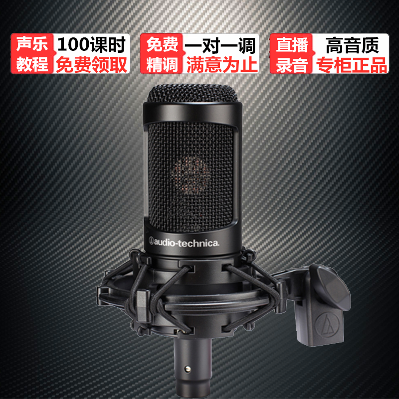 AudioTechnica Audio-Technica 2035 new official standard sound card live broadcast dedicated large-diaphragm condenser microphone