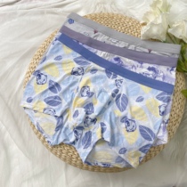 8995 (Ice Silk) male underwear (1 hair 3)-999