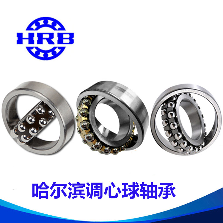 Harbin Dual-row Center Ball Bearing 2200 2200 2201 2201 2203 2203 2204 2205 ATN AKTN