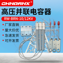 BRW-BRN-10-12KV2A10A25A3065A120A190A high voltage parallel capacitor protection fuse