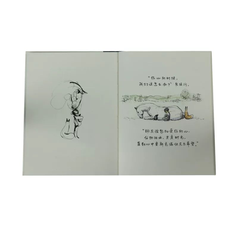 Парковка Мышонок Лиса и Мэддот; коллекця Максикки, переплет Hardcover Любовь не требует вашей другой дружбы книг, чтобы исцелить лечение иностранных литературных иллюстративных книг