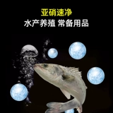 Нитрит -сетка модифицированная декомпозиция воды деградация нитритов