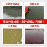 Нитрит -сетка модифицированная декомпозиция воды деградация нитритов