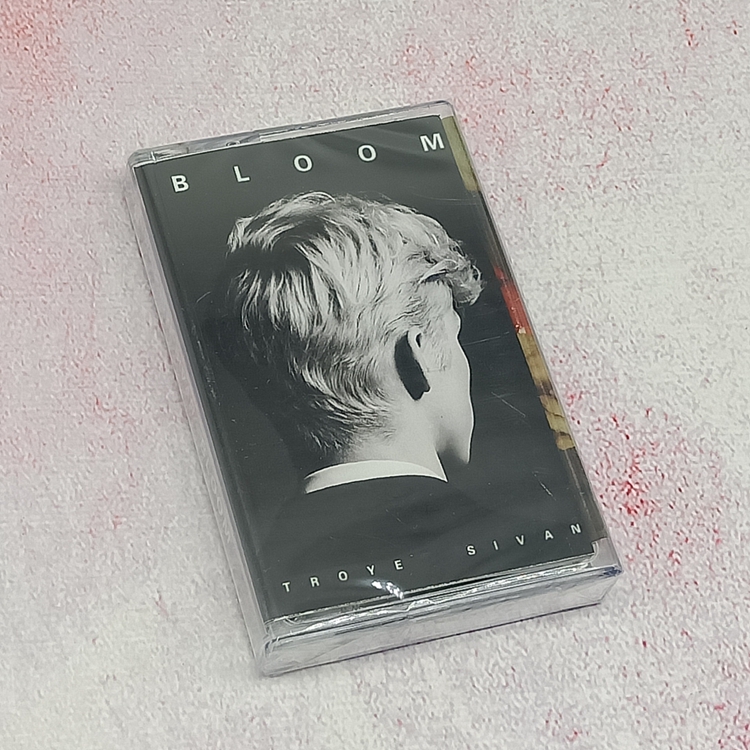 TROYE SIVAN POKE BLOOM album tapes with body-to-listen card with brand new nostalgic retro music collection