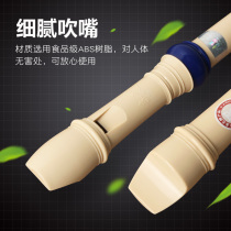 Chimei clarinet beginner zero foundation 8 holes 6 holes childrens ABS resin flute beginner primary school student treble German flute