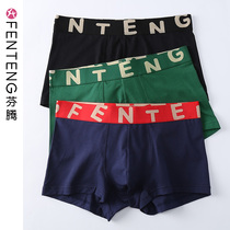 Fenten underwear mens cotton boxer comfortable and breathable youth pants size Sports mens shorts knickers