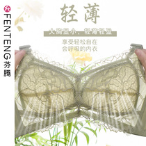 Fenten Summer Thin Bra Wireless Large Bra Full Cup Big Breasted Small Sexy Push-Up Womens Underwear