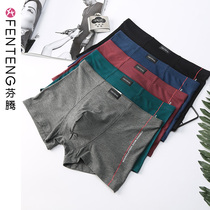 Fenten mens underwear mens boxers large size comfortable breathable Korean style trendy young mens sports boxers