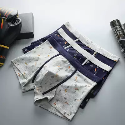 Fenten men's underwear men's boxer youth tide Korean version of personalized cotton boxer pants cotton boxer shorts