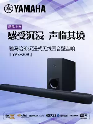 Yamaha Yamaha ATS-2090 Home Theater TV Audio 5 1 Channel Echo Wall Surround Speaker