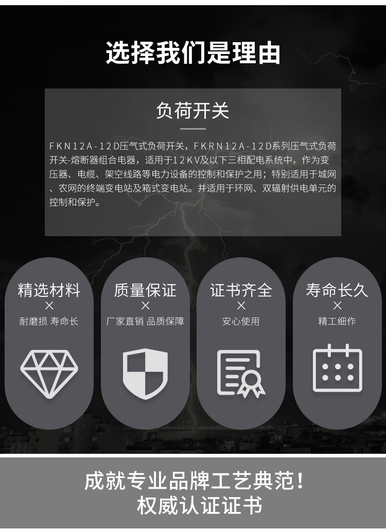 供应辉能电气FN12-12/FN12-12RD户内高压负荷压气式开关 高压负荷开关,FN12-12,户内高压负荷开关,高压负荷开关,10KV负荷开关