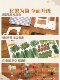 Rolife If you come to Emily Flower Shop DIY Handmade Cabin Miniature Model Art House Assembly House Building Blocks Women