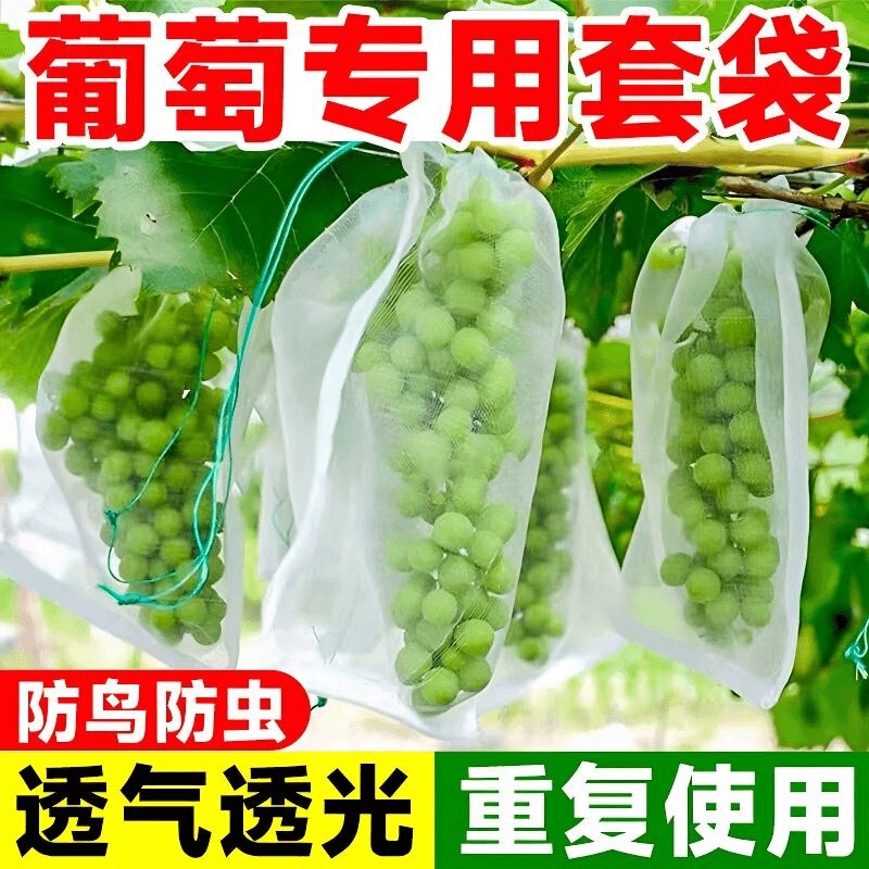 Special Bags for Grape Bagging, Insect-Proof and Bird-Proof Net Bags, Fruit Protection Bags for Strawberries and Sunshine Rose Special Bags for Grape Bagging, Insect-Proof and Bird-Proof Net Bags, Fruit Protection Bags for Strawberries and Sunshine Rose
