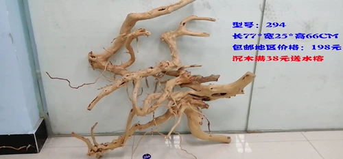 Du Juan корень корня вода трава, тонущая деревянная полоса деревянная ландшафтная ландшафт Таиланд.