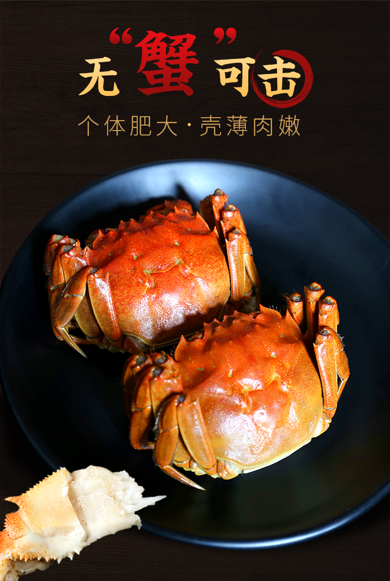 现货 珍澄 阳澄湖 鲜活六月黄大闸蟹 2.5两 图2