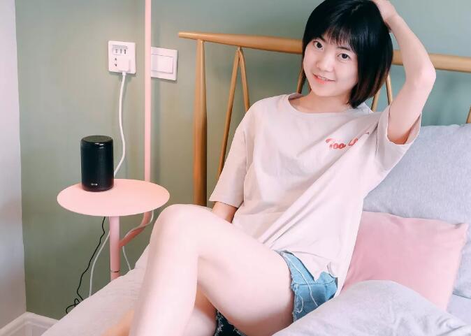 小度大金刚智能音箱:一‘箱’两用
