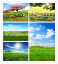 Taobao photo background cloth Photo studio background wall Womens clothing childrens online shop clothing shooting photo landscape background cloth