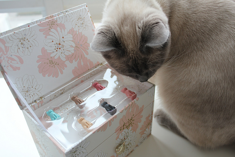 Tại chỗ! Paul & Joe 15th Anniversary Cat Makeup Set Eye Shadow + Case + Pack + Replica Lipstick son dưỡng vaseline thỏi