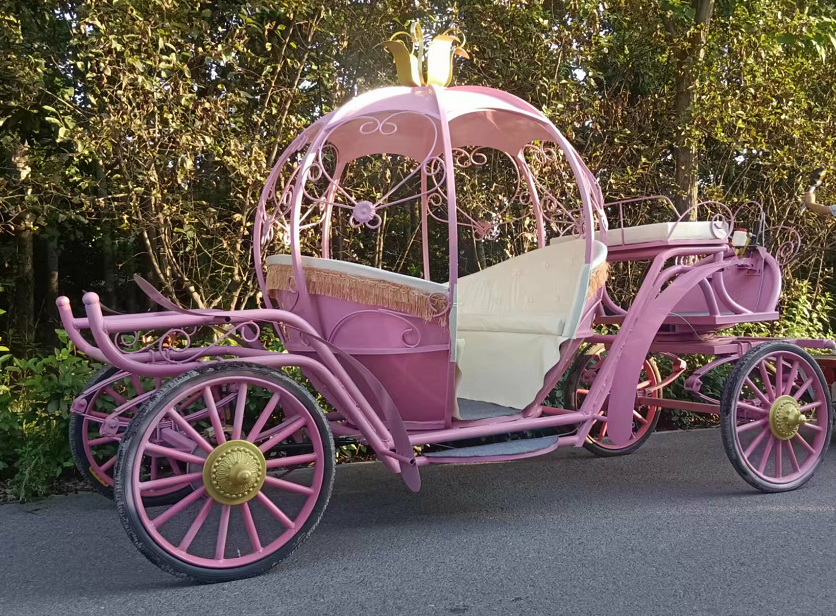 Small dwarf Marmara pink princess wagyu wedding wedding car scenic spot commercial display props can be changed electric-Taobao
