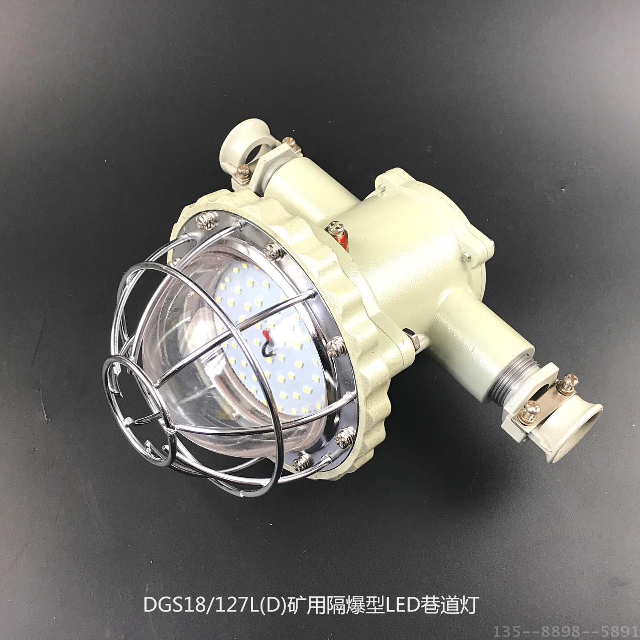 Cast aluminum DGS20 127L (A) type mining flame-proof LED alley lamp quality energy saving laneway lamp safety