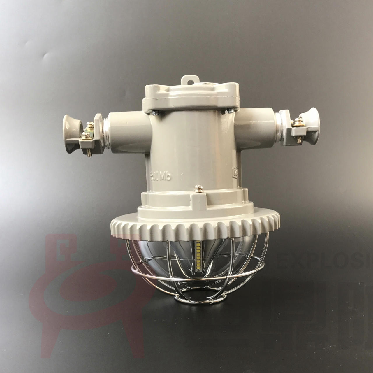 Explosion DGS18 36L Roadway Lights Lighting Lights 36V 127V 220V Explosion-Proof Lights