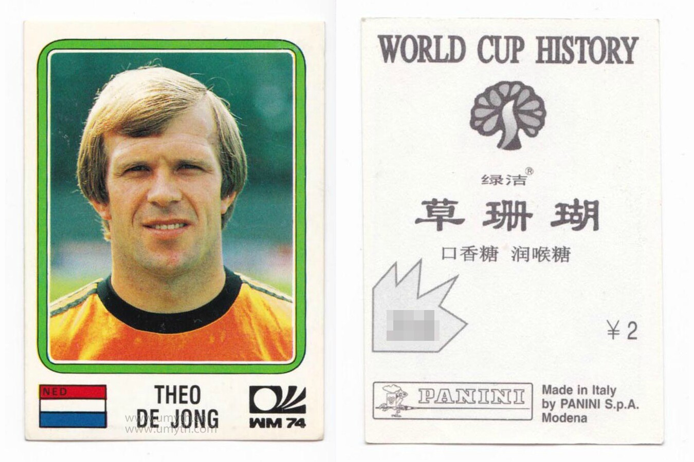 Panini Panini star sticker World Cup Chinese version Theo de Jong Netherlands #