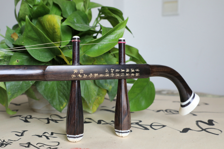 Ancient Moon Erhu Wanqatte Erhu Factory Direct Redwood Professional Chơi Golden Flower Suede Nhạc cụ - Nhạc cụ dân tộc tiêu trúc