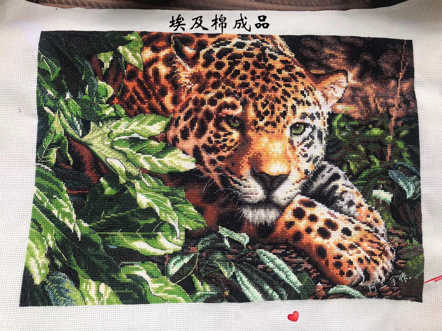 Cầu vồng thêu Quảng trường chính hãng DMC cross stitch từ mảnh phù hợp với DIM35300 - Bộ dụng cụ thêu tranh thêu tứ quý tùng cúc trúc mai