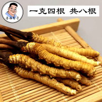 Qinghai Yushu 2g8 root cordyceps wild non-Tibetan Naqu broken grass cordyceps Dongwong summer grass gift box