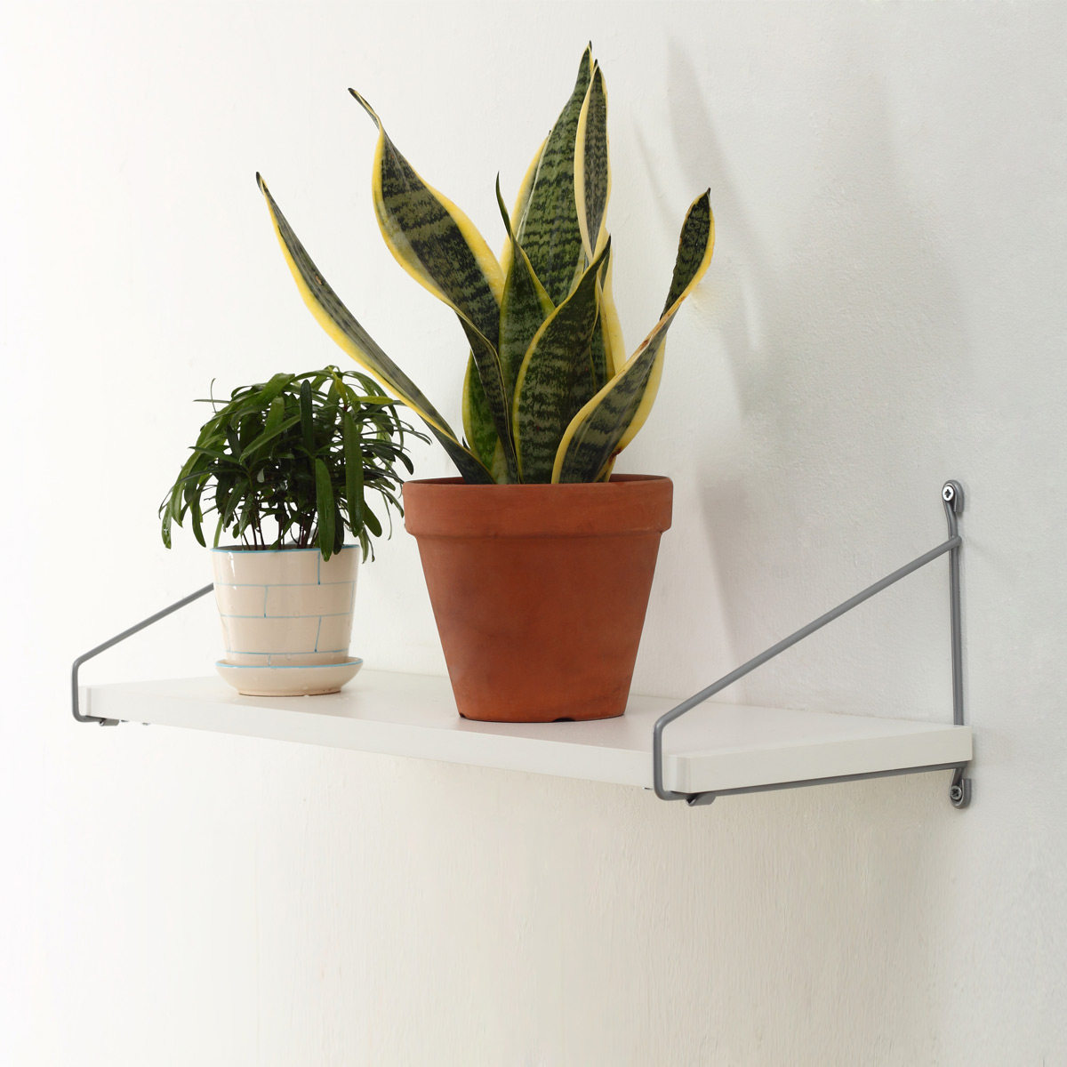 ����˹ǽ������ľ�廨��10864