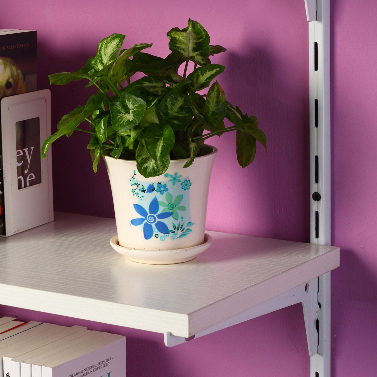 ����˹��ľ�������ձڹ�TT