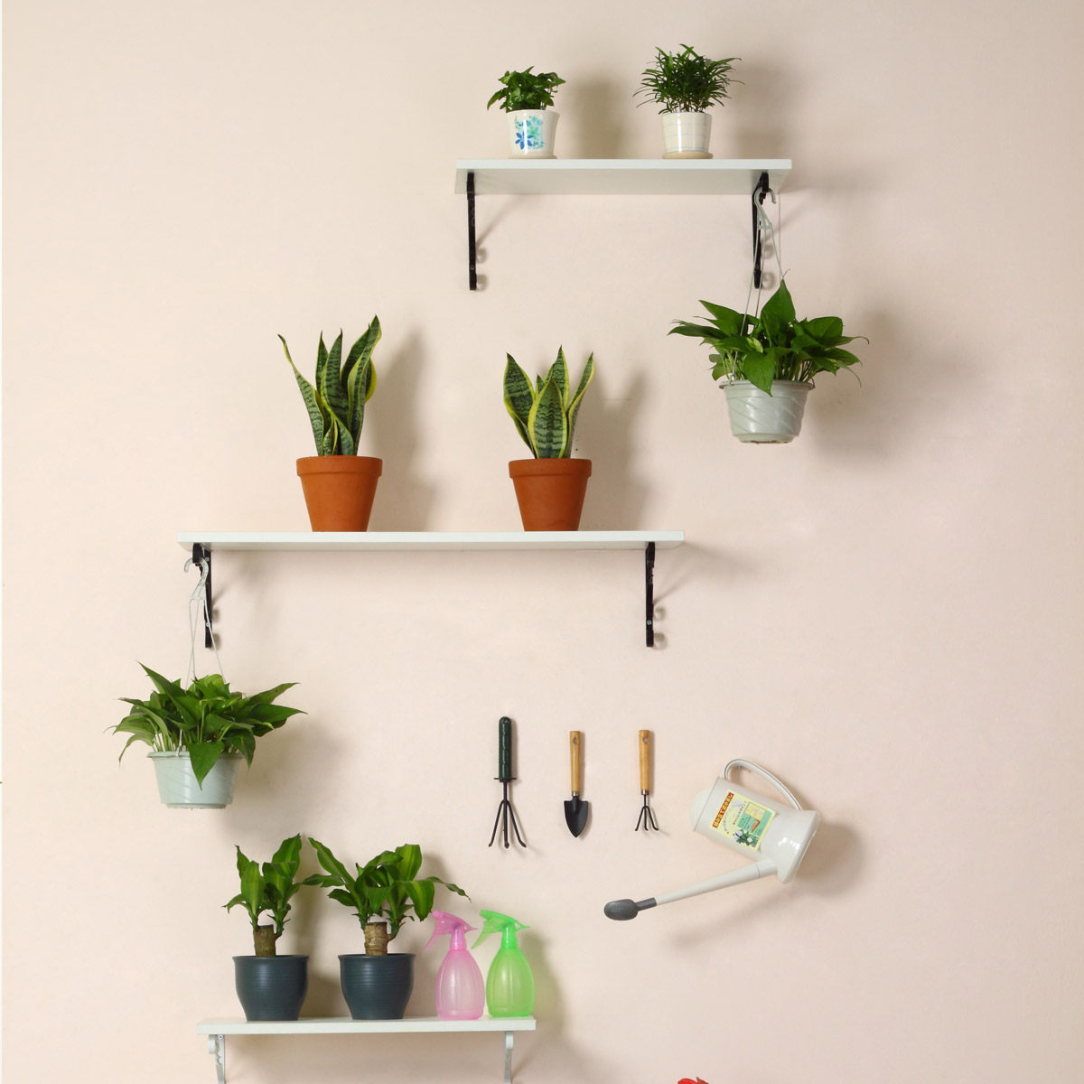 ����˹��ʽ�ŵ����10256