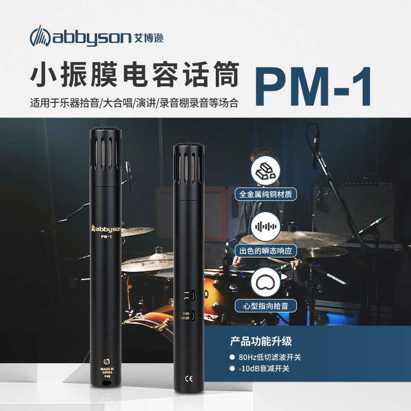 Abbyson Pm-1 Small Diaphragm Condenser Microphone Professional Recording Performance Microphone