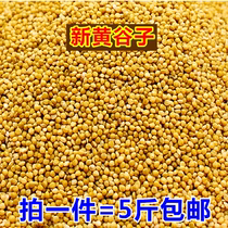 Bird food New yellow millet small and medium-sized parrot feed tiger skin Xuanfeng Peony with shell millet food grain 5 pounds