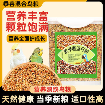 ເມັດເຂົ້າປຸ້ນຫ້າສີ parrot mixed nutritional grain millet millet mixed bird ຫ້າສີ millet parrot ເມັດພືດປະສົມໂພຊະນາການ