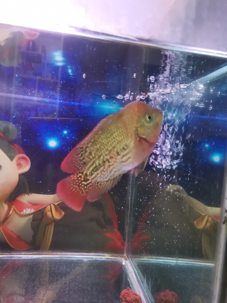 立诚臻品店