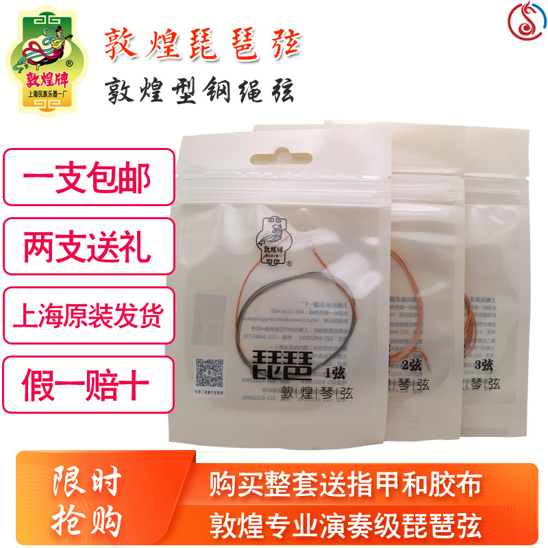 Dunhuang Brands Dunhuang Type Steel Wire Rope Pipa Strings 1234 String Coating Tangles Professional examination to play the strings single branch whole set