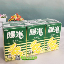 Hong Kong Sunshine Lemon Tea Imported Drinks 250ml * 6 Sunshine Lemon Tea Drinks