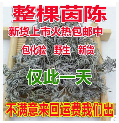 Whole Yin Chen Tea Chinese herbal medicine dried wild vegetables Yin Chen Herb March Mian Yin Chen Artemisia 500 g edible products
