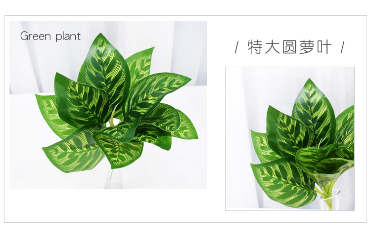 Mô phỏng tường phụ kiện cây xanh phụ kiện tường cây cỏ Ba Tư treo tường trong nhà lưới đỏ nền tường trang trí xanh - Hoa nhân tạo / Cây / Trái cây Ý tưởng từ khóa