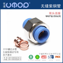 ppr double head live water pipe pipe household hot melt copper pipe joint plastic household tap water accessories