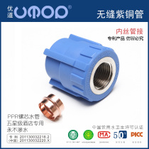 Inner wire direct 4 points 20 home decoration internal teeth through accessories 6 Points 25 hot melt ppr copper pipe household plastic joint