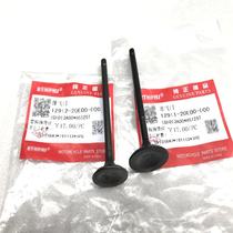 Suitable for pedal motorcycle Neptune HS125T Fuxing red blue gold AN125 Superman QS150T Yu E valve