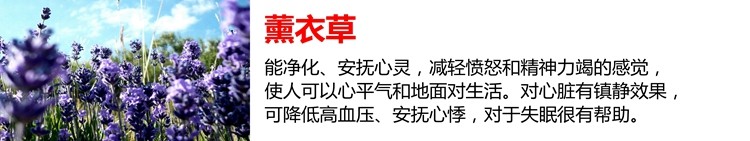 Bougie - Ref 2488440 Image 41