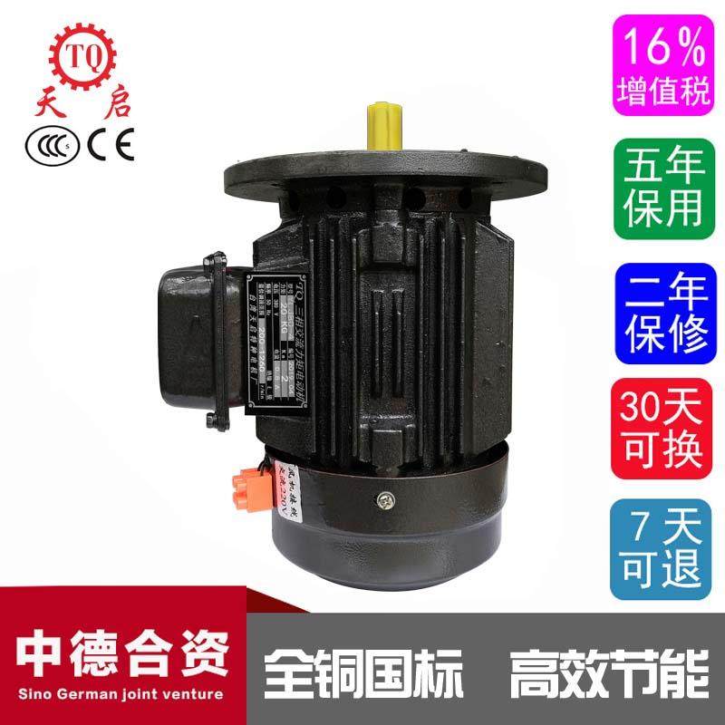 Winding special three-phase torque motor YLJ80 90 100 112 132 winding motor Stall motor
