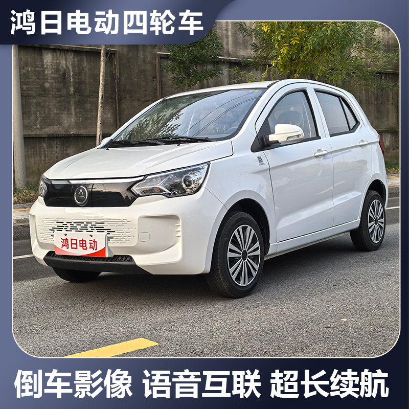 Hongri S1 Glory Edition 電動四輪家庭用移動車両、デュアルユース電動車両、大人用完全密閉型車