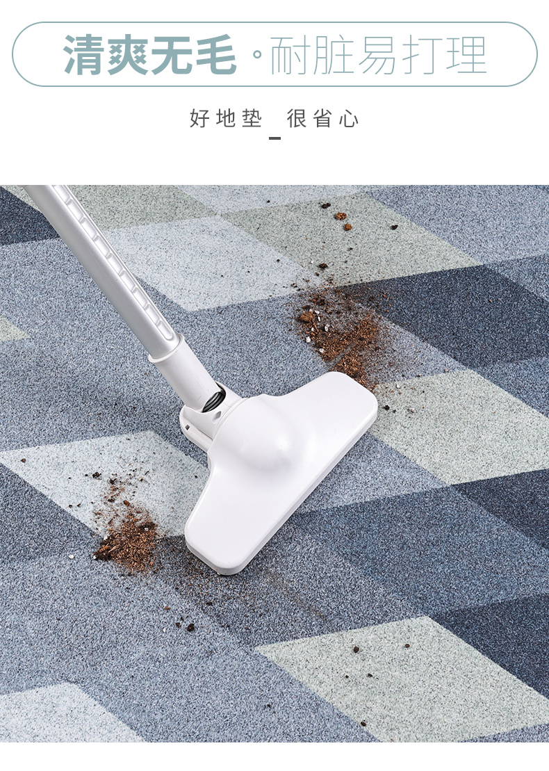 北欧玄关门口入门地垫进门门垫入户门门厅地毯可裁剪好清洗脚垫子详情4