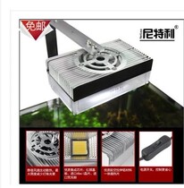 Nittley full spectrum LED aquatic plant bracket light Small and medium tank aquatic plant selection with lamp holder