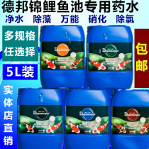 Debang Koi universal fish potion water purifier algaecide nitrifying bacteria 5L liter ornamental fish pond water Group